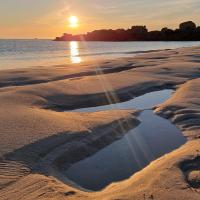 troquer avec pookpook, sur mytroc