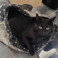 troquer avec Pounette73, sur mytroc