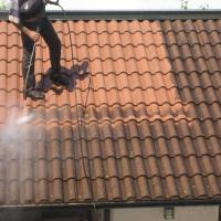 troqueur stanislas poisson , sur mytroc