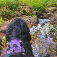 troquer avec Eva MESSAGER, sur mytroc