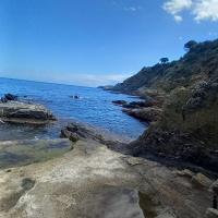 troquer avec Adeni66, sur mytroc