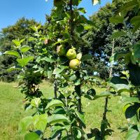 troqueur marif , sur mytroc