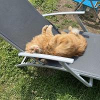 troquer avec Mag932, sur mytroc