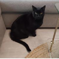 troqueur isabeletliberte251175 , sur mytroc