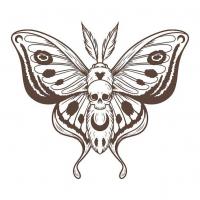 troqueur death moth , sur mytroc