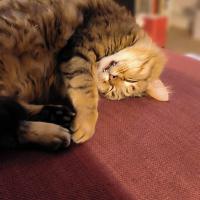 troquer avec AngelB., sur mytroc