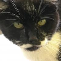 troqueur soso54 , sur mytroc