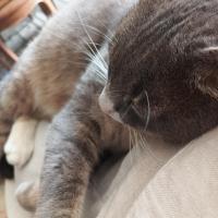 troquer avec Danahele, sur mytroc