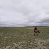 troquer avec Buck87, sur mytroc