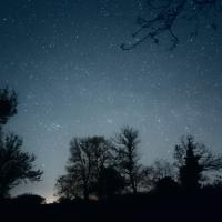troquer avec Canis-Majoris, sur mytroc