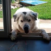 troquer avec elo2586, sur mytroc