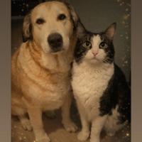 troquer avec Mamandine, sur mytroc