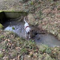 troquer avec IsaMtx, sur mytroc