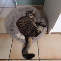 troqueur nadou62 , sur mytroc