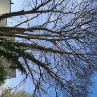 troquer avec shoumibzh, sur mytroc