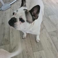 troquer avec Natlin, sur mytroc