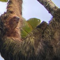 troquer avec Mamz3lle, sur mytroc