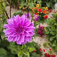 troquer avec Billie, sur mytroc