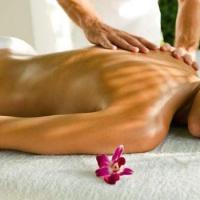 troqueur miamparis , sur mytroc