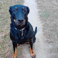 troqueur drine31 , sur mytroc