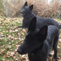 troquer avec Béa90, sur mytroc