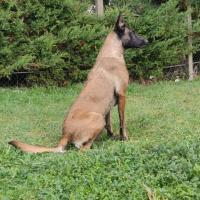 troqueur annga , sur mytroc