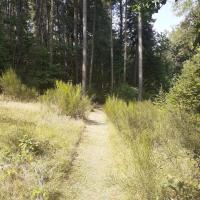 troquer avec uncafelematin, sur mytroc