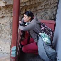 troquer avec Nemesis, sur mytroc