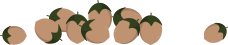 tas de noisettes