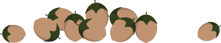 tas de noisettes