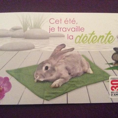 troc de  Carte postale 30 millions d’amis lapin, sur mytroc
