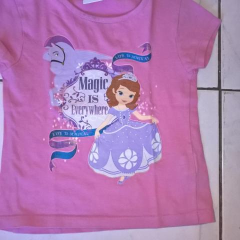 troc de  T-shirt princesse sofia, sur mytroc