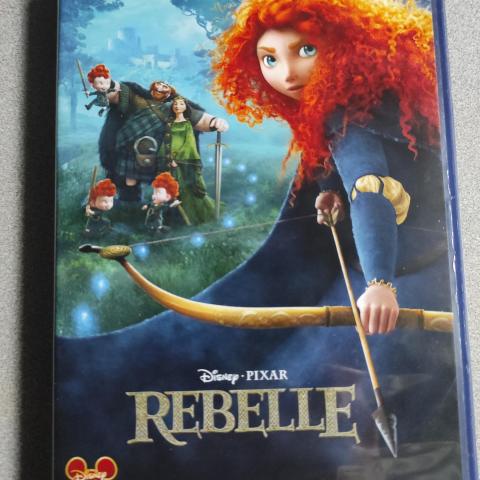 troc de  DVD Rebelle, sur mytroc
