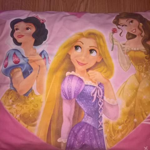 troc de  coussin princesse neuf, sur mytroc