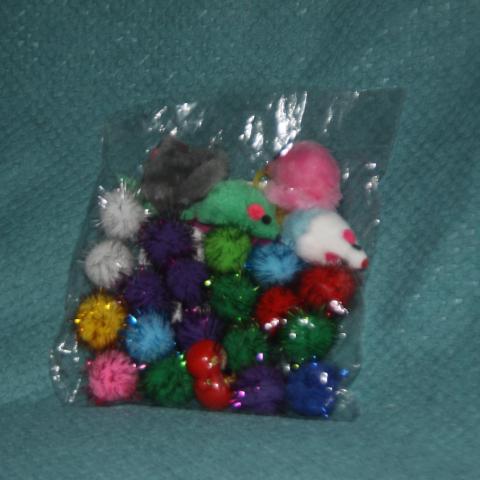 troc de  Lot de jouets pour chaton, sur mytroc
