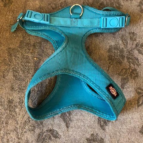 troc de  Harnais petit chien Trixie, sur mytroc