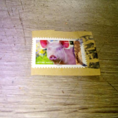 troc de  timbre cochon pour collection, sur mytroc