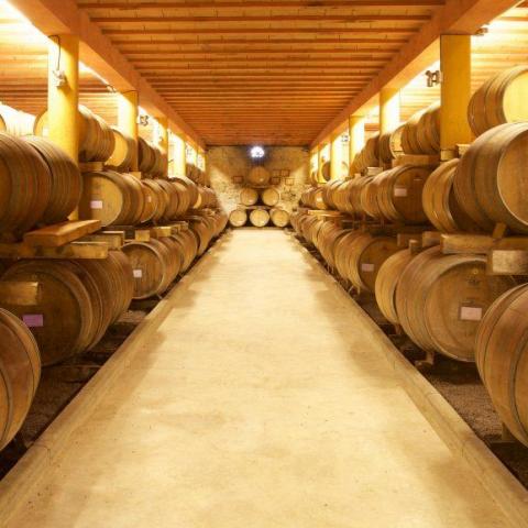 troc de  Code Remise 20 % sur votre commande de vins du Languedoc, sur mytroc