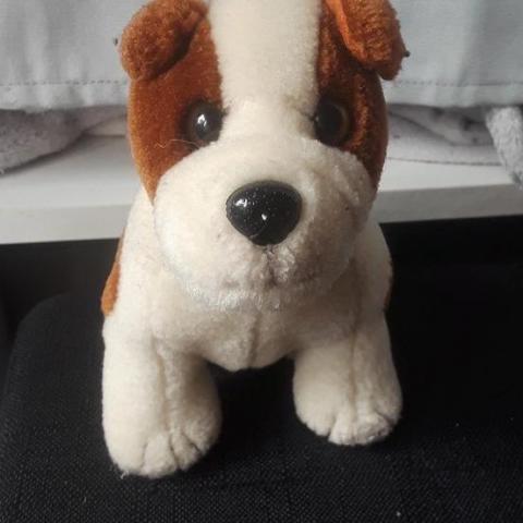 troc de  Peluche chien, sur mytroc