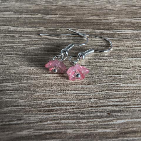 troc de  Boucles d'oreilles, sur mytroc
