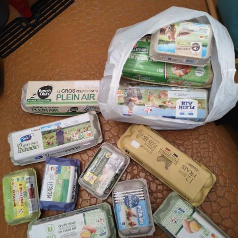 troc de  Boîtes d'oeufs vides, sur mytroc