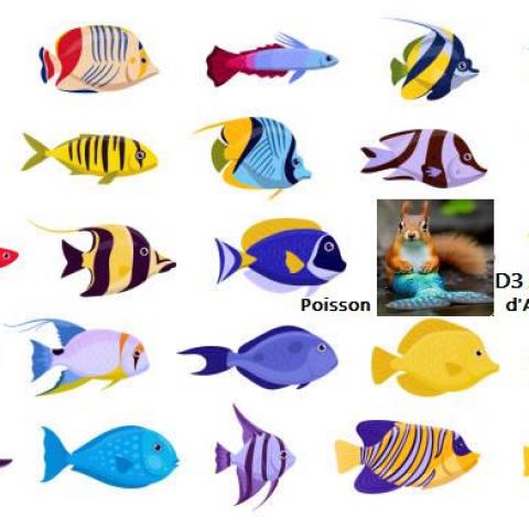 troc de  Jeu 24H Chrono - 1er Avril - Résultat, sur mytroc