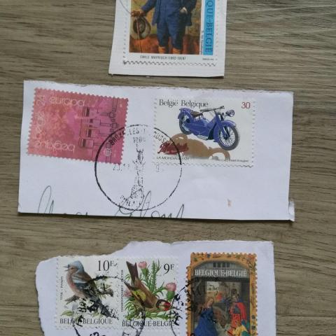 troc de  Réservés timbres Belgique, sur mytroc
