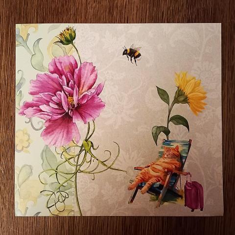 troc de  Papier créatif., sur mytroc