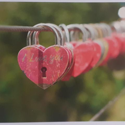troc de  RESERVE Ginkgo en attente Carte postale amour 3, sur mytroc