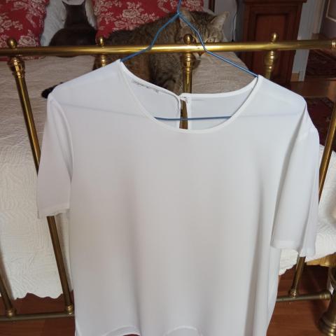 troc de  BLOUSE BLANCHE, sur mytroc
