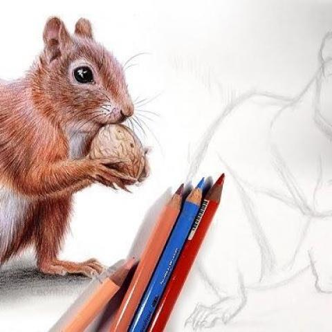 troc de  Gros taille-crayon pour gros diamètre, sur mytroc