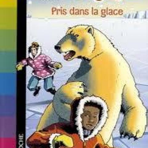 troc de  Livre - Le Bus Magique - T11 - Pris dans la glace, sur mytroc