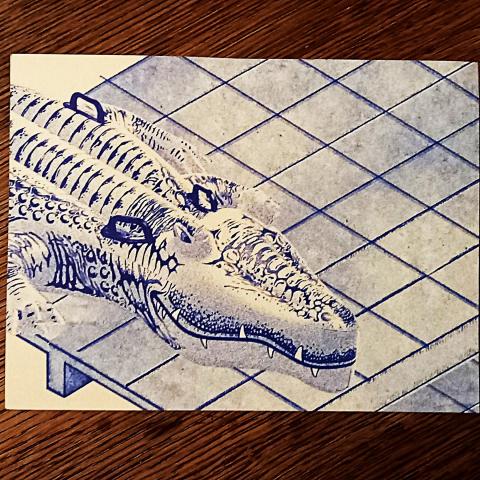 troc de  Carte "L'alligator"., sur mytroc