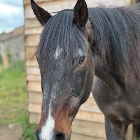 troc de  Pour VEVER, sur mytroc